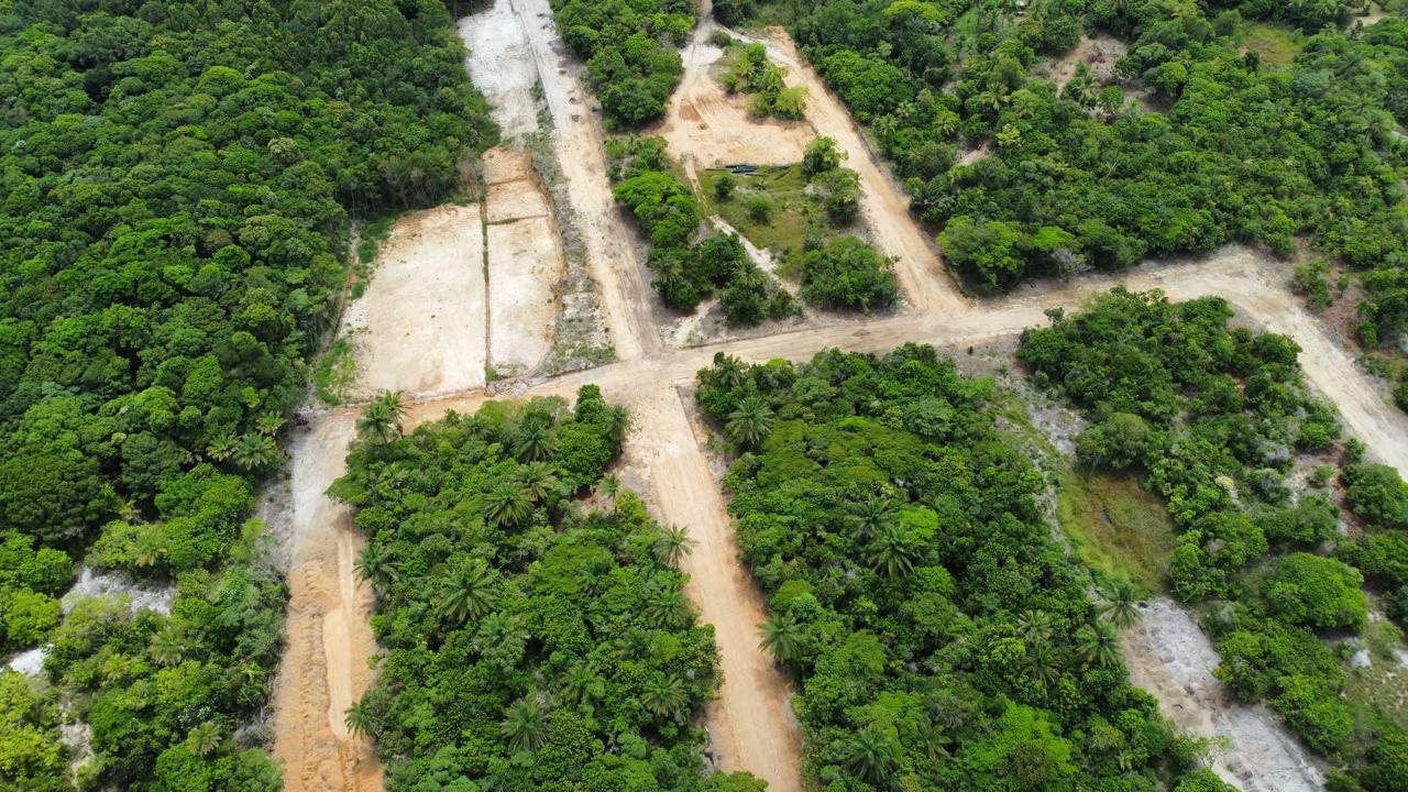 Infraestrutura Viária